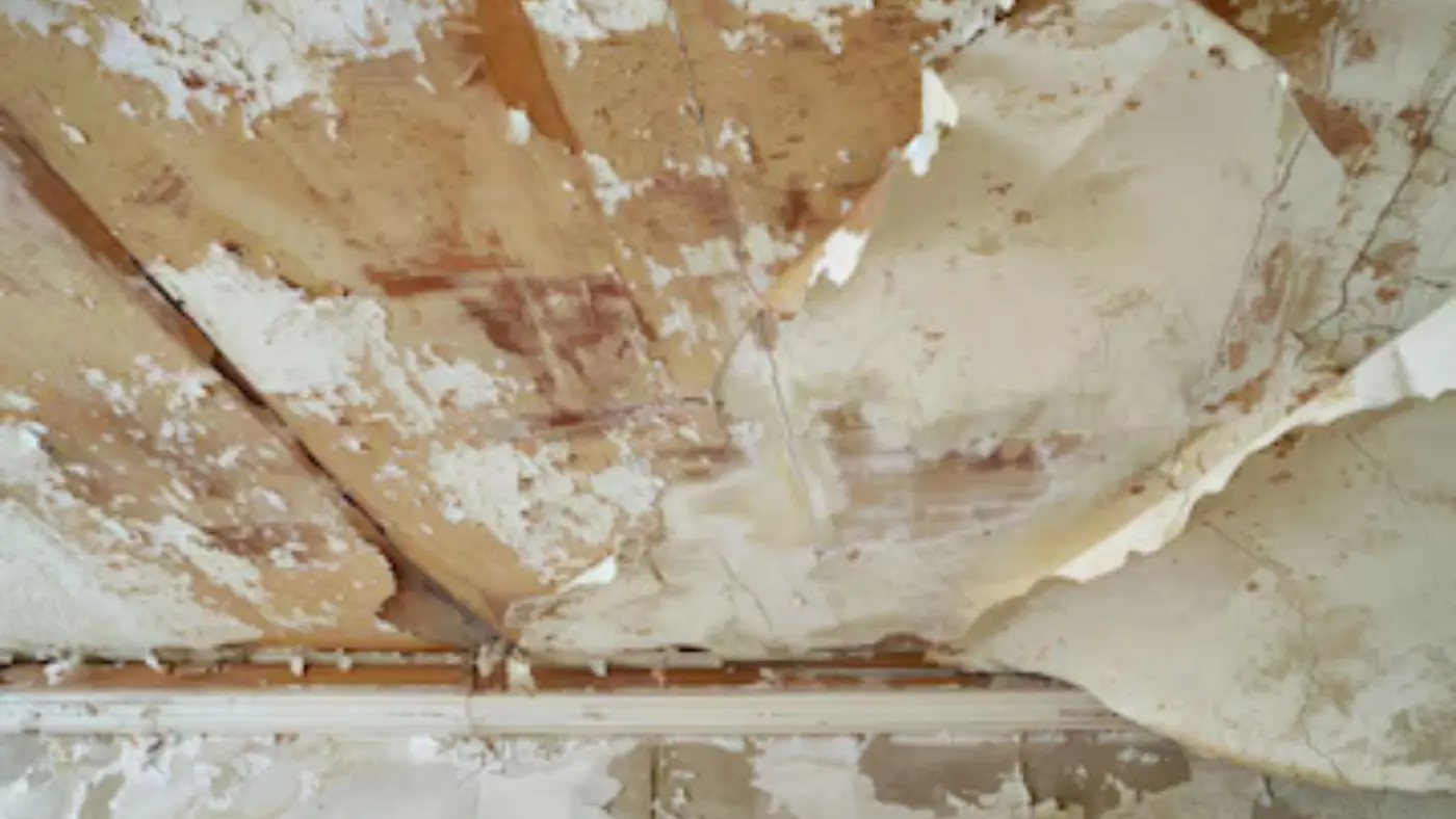 Water-damaged ceiling with peeling paint and brown staining