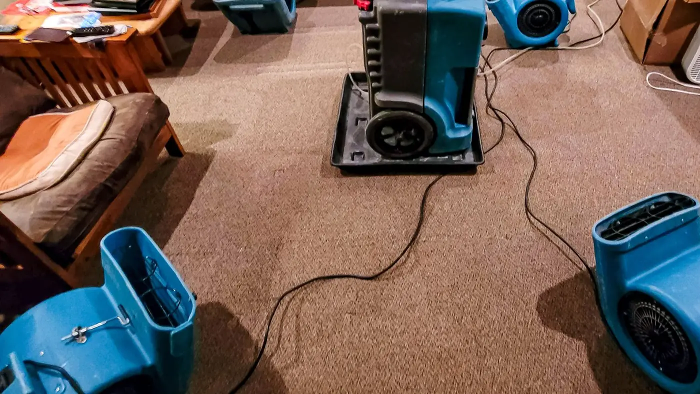 Dehumidifier and air movers set up on carpet in a living room