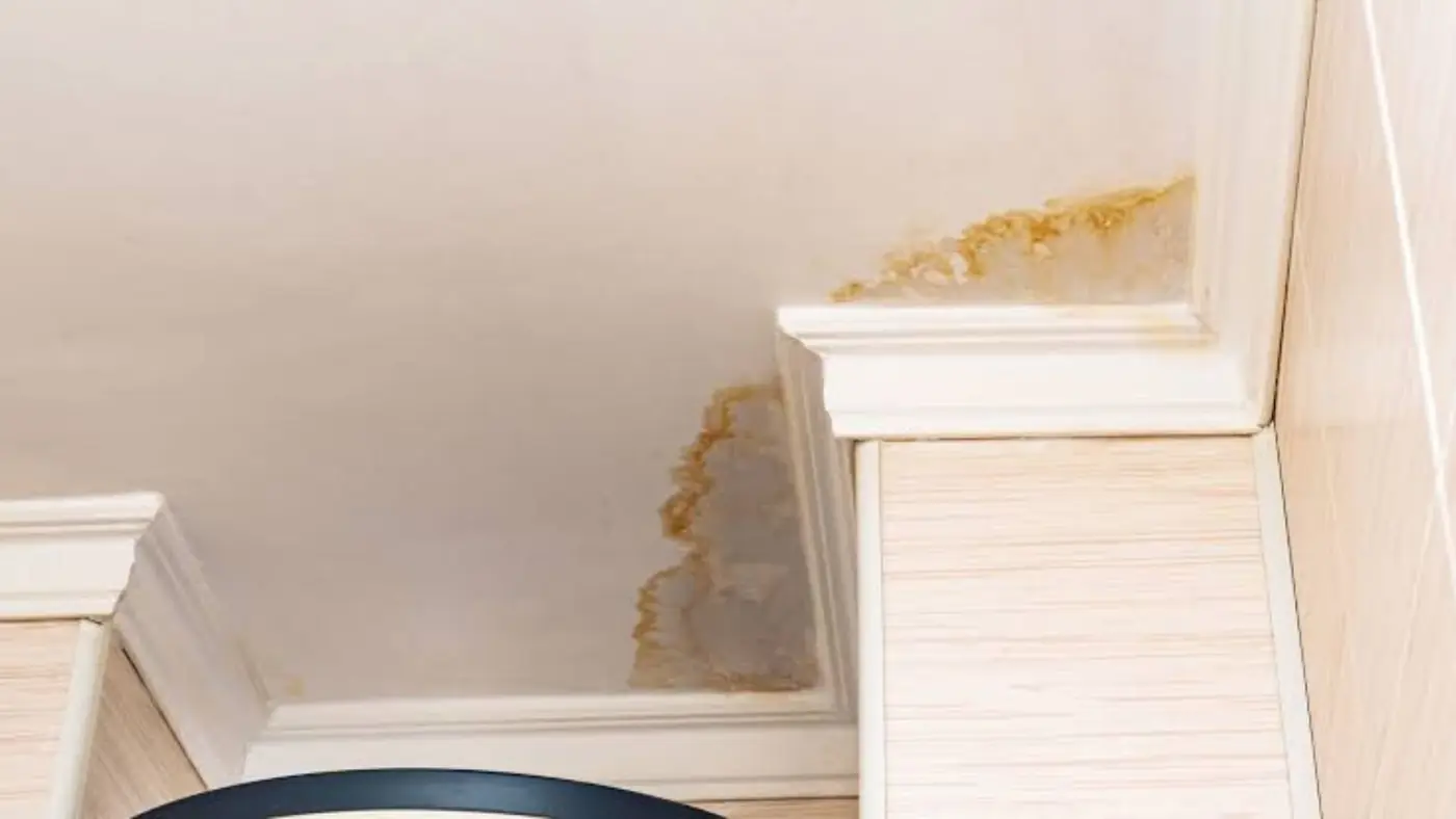 Water-stained ceiling corner with a yellow-brown ring beside crown molding